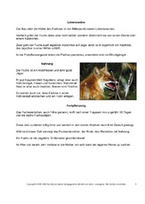 Rotfuchs-Steckbrief-Seite-2.pdf